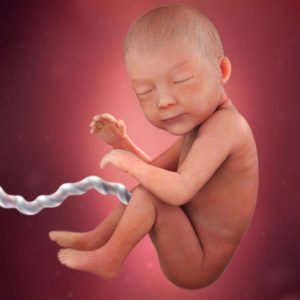 pregnancy-week-30-amniotic-fluid_square[1]